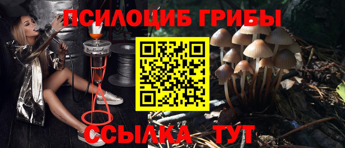 Псилоцибиновые грибы MAGIC MUSHROOMS  Псилоцибиновые грибы MAGIC MUSHROOMS  Лянтор  Вход с VPN 